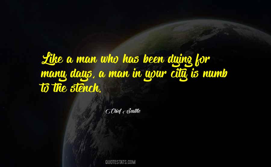 Chief Seattle Quotes #1406371