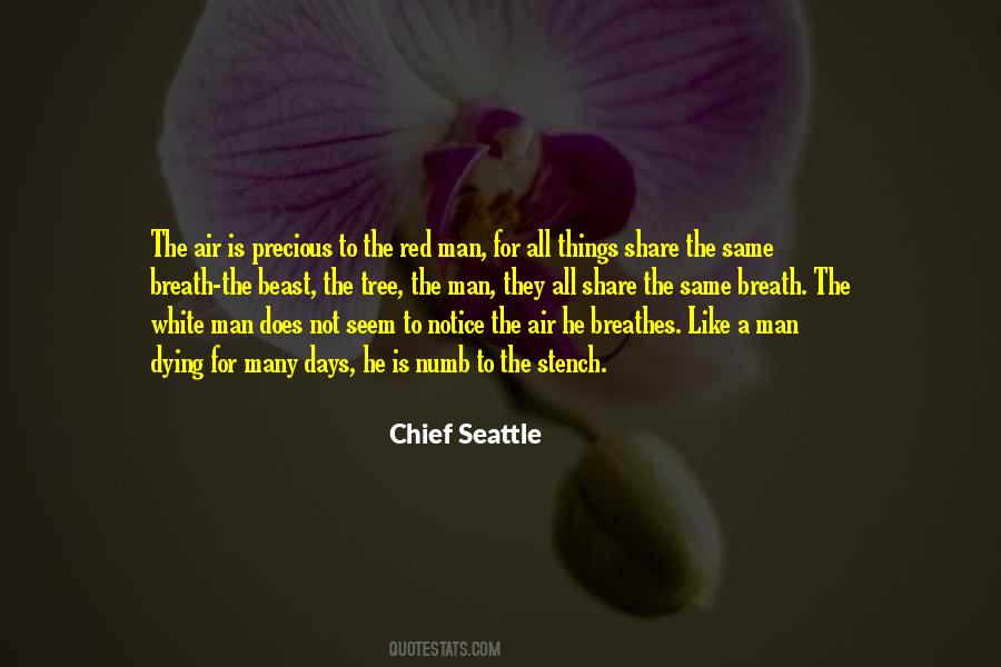 Chief Seattle Quotes #486033