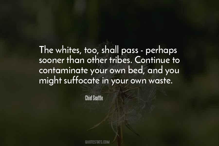 Chief Seattle Quotes #935184