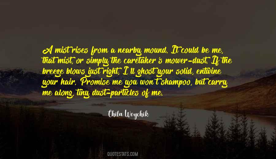 Chila Woychik Quotes #520242