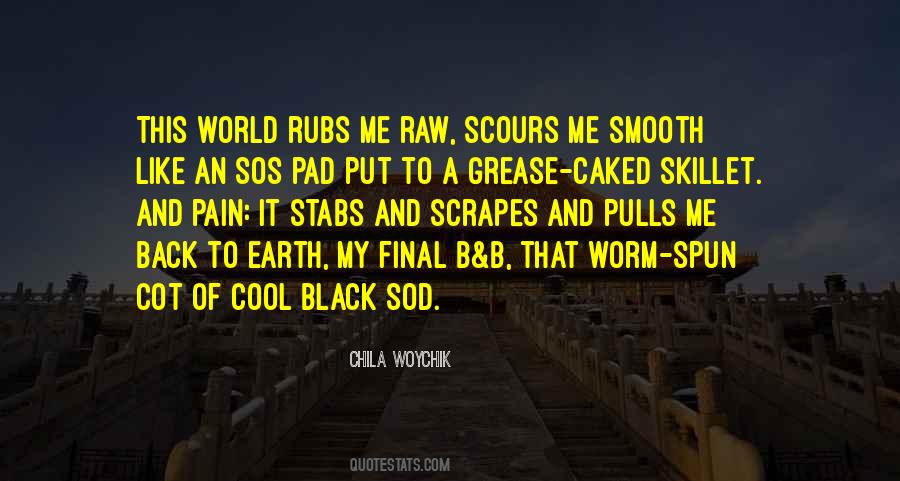 Chila Woychik Quotes #776270