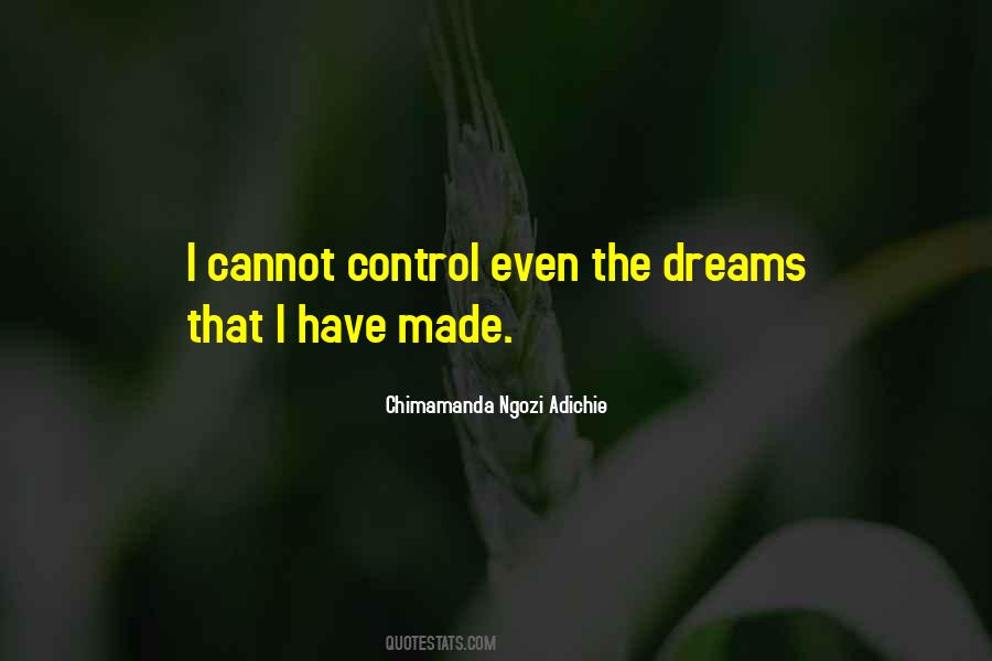 Chimamanda Ngozi Adichie Quotes #1011036