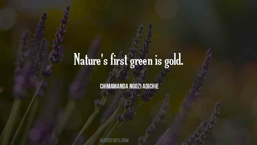 Chimamanda Ngozi Adichie Quotes #335751