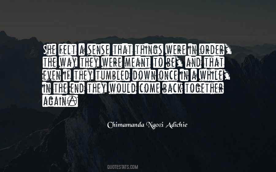 Chimamanda Ngozi Adichie Quotes #41251