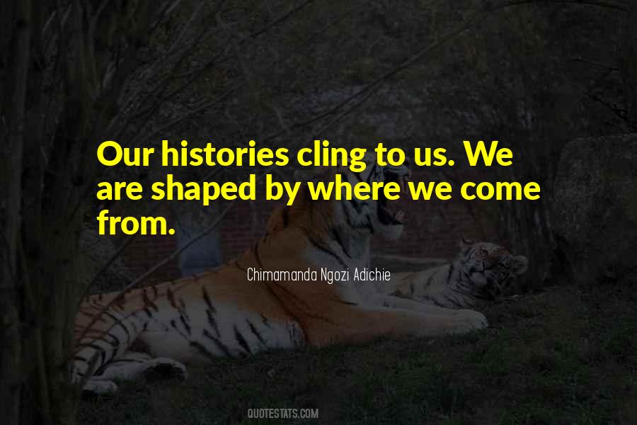 Chimamanda Ngozi Adichie Quotes #609216