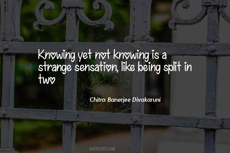Chitra Banerjee Divakaruni Quotes #337789