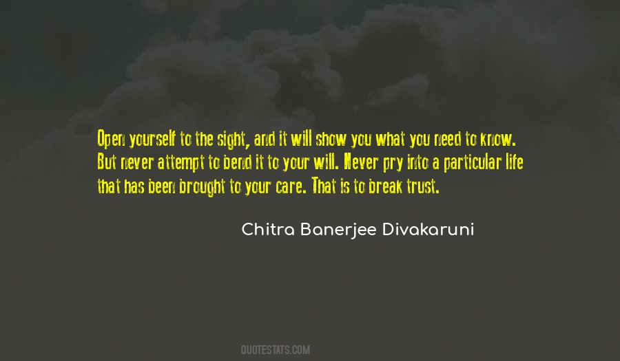Chitra Banerjee Divakaruni Quotes #74796