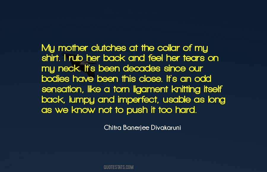 Chitra Banerjee Divakaruni Quotes #834562