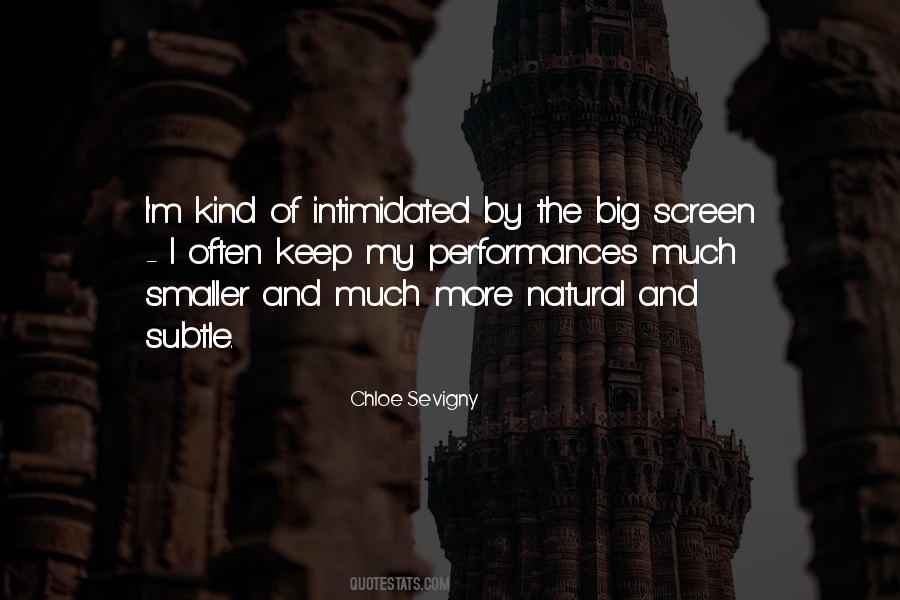 Chloe Sevigny Quotes #982229