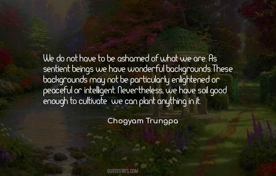 Chogyam Trungpa Quotes #1059206