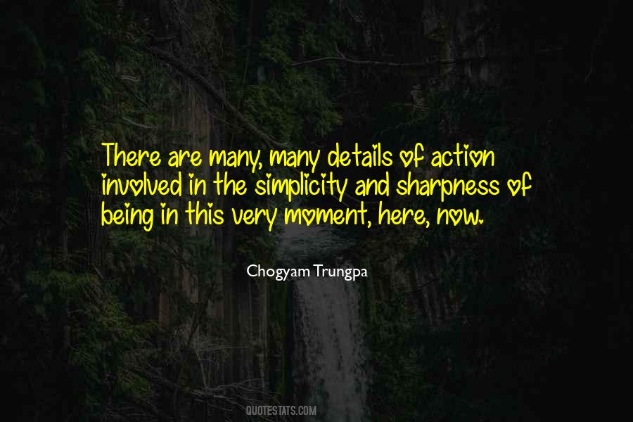 Chogyam Trungpa Quotes #1787193