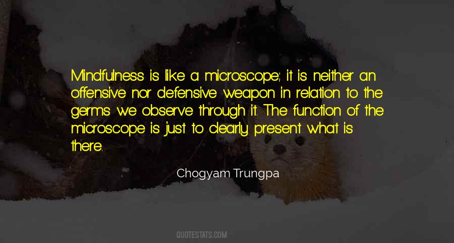 Chogyam Trungpa Quotes #443209