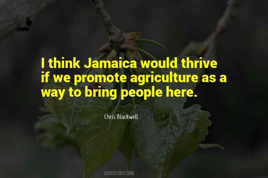 Chris Blackwell Quotes #1415347