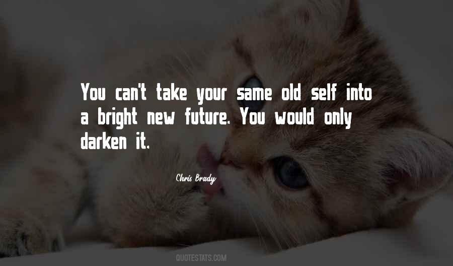 Chris Brady Quotes #748111