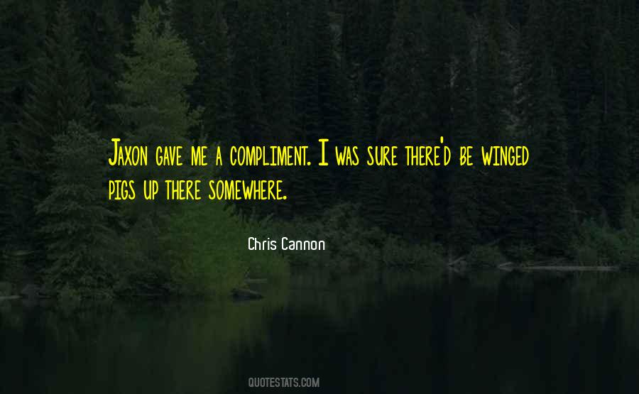 Chris Cannon Quotes #1510978