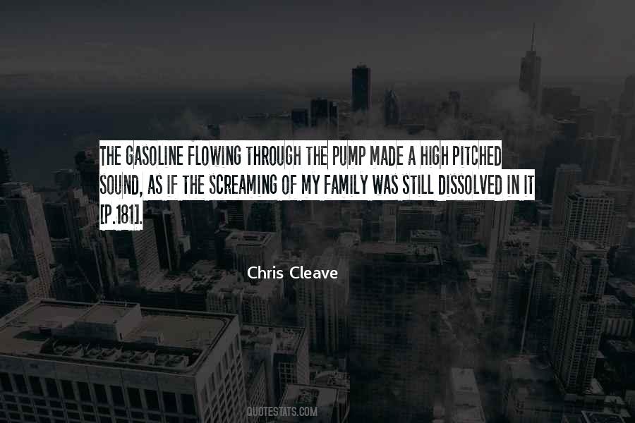 Chris Cleave Quotes #1809545