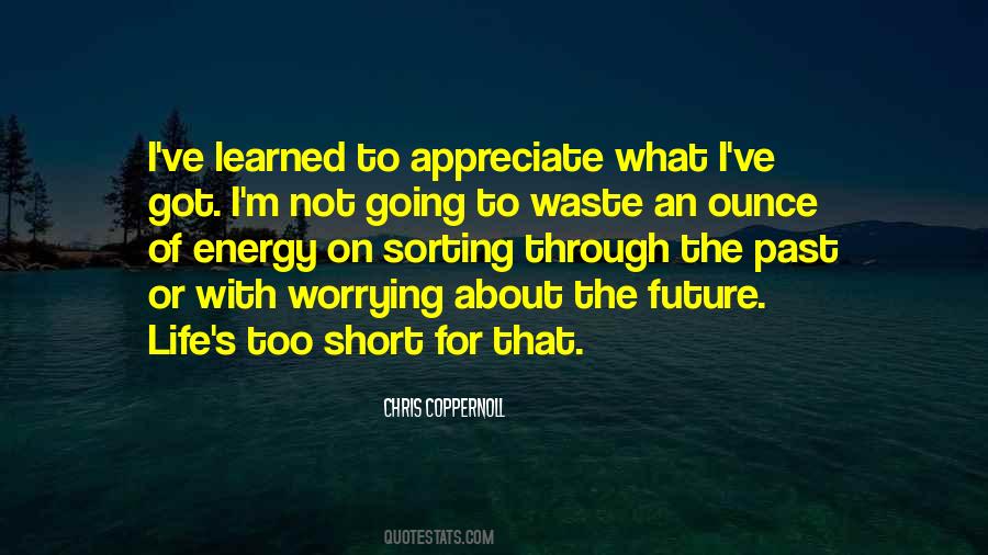 Chris Coppernoll Quotes #766496
