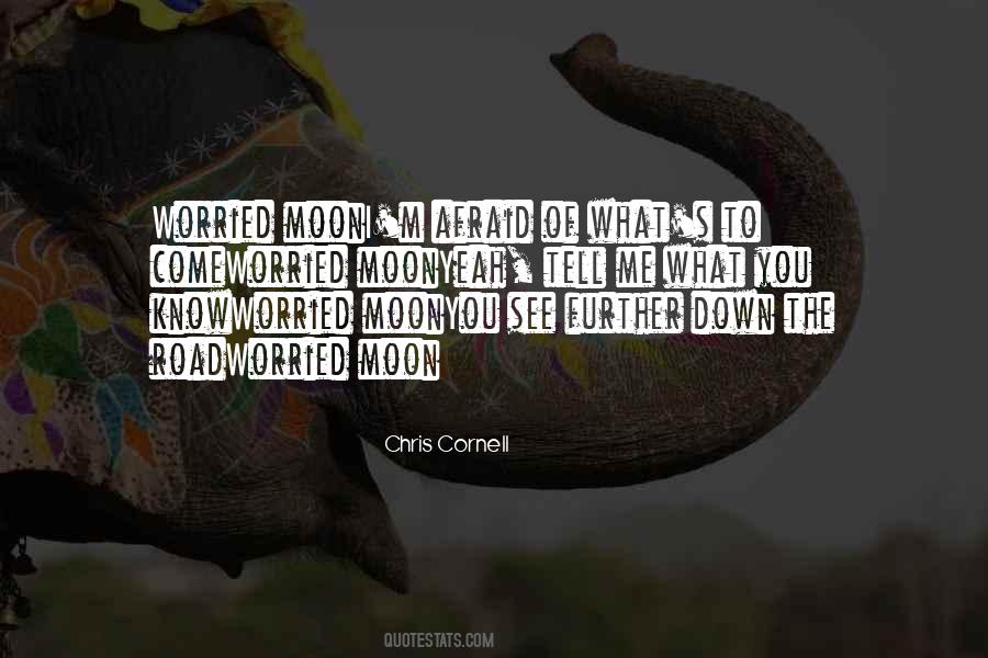 Chris Cornell Quotes #1860346