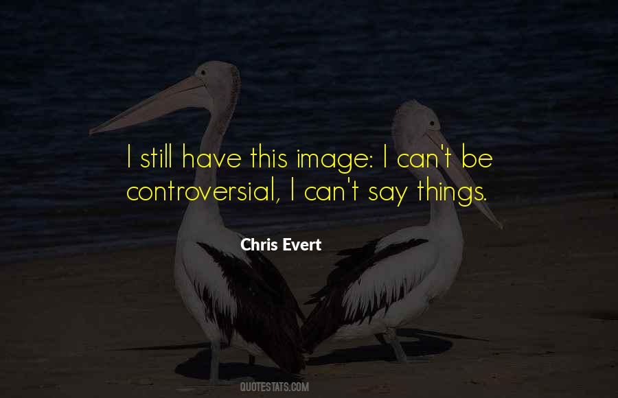Chris Evert Quotes #942403