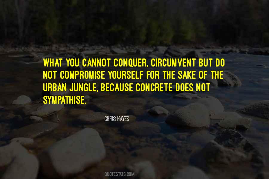 Chris Hayes Quotes #932800
