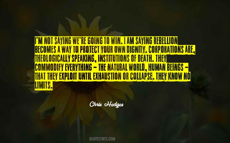 Chris Hedges Quotes #1298068