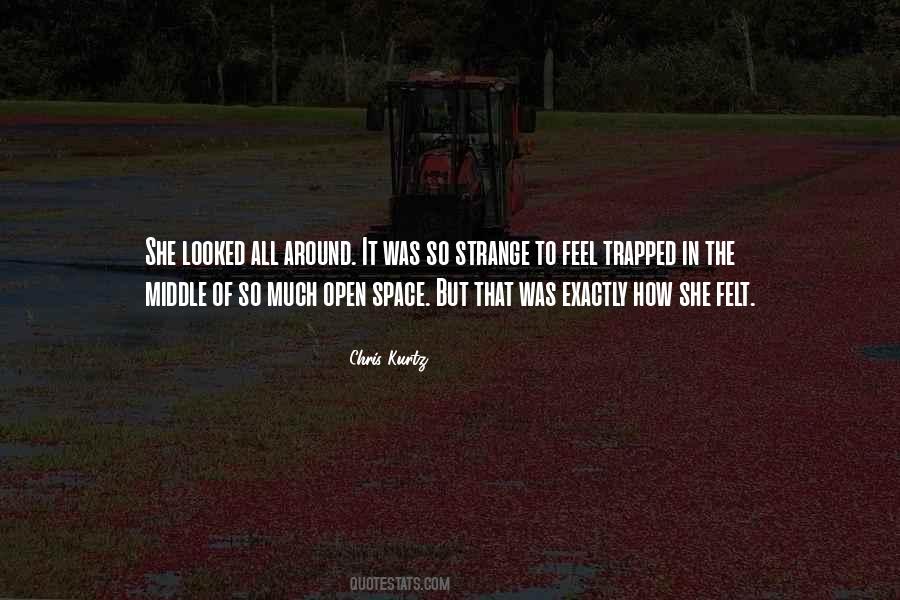 Chris Kurtz Quotes #457213