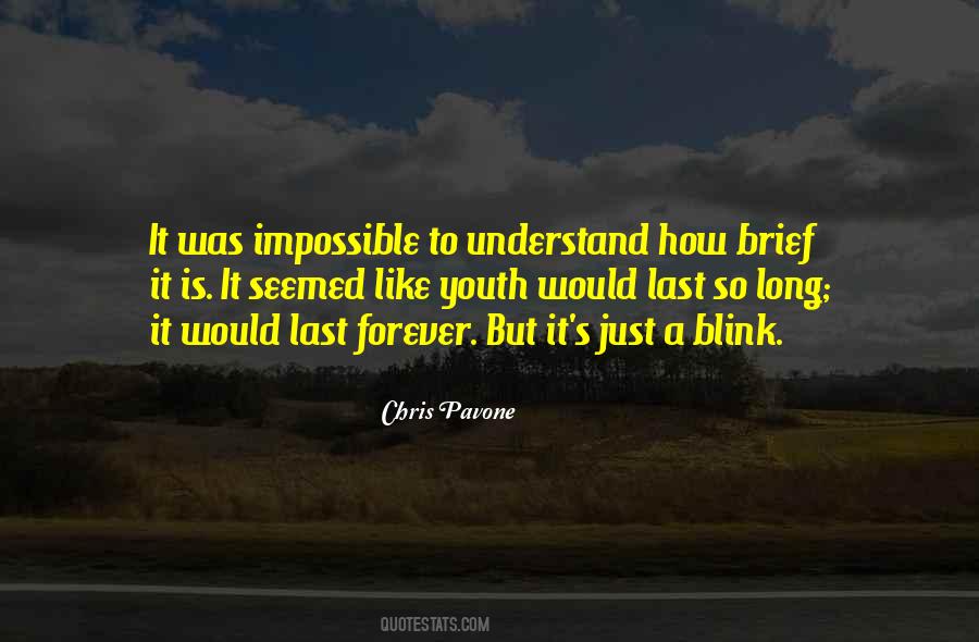 Chris Pavone Quotes #251759
