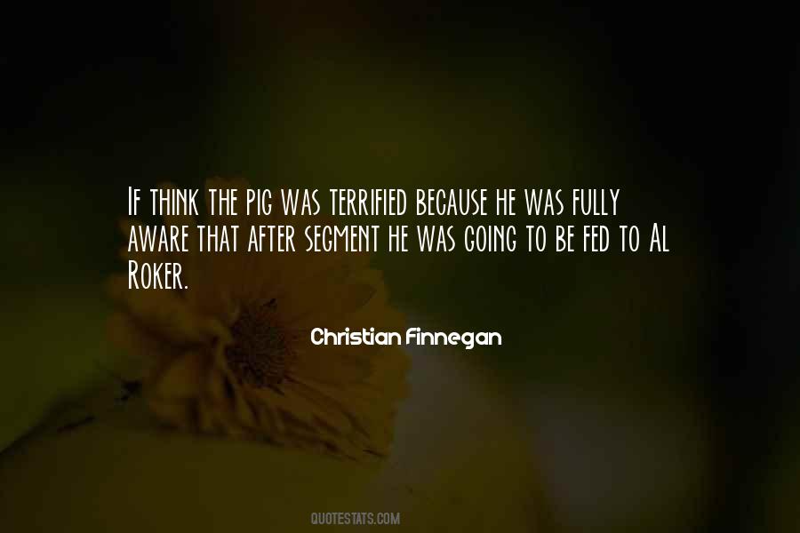 Christian Finnegan Quotes #772678