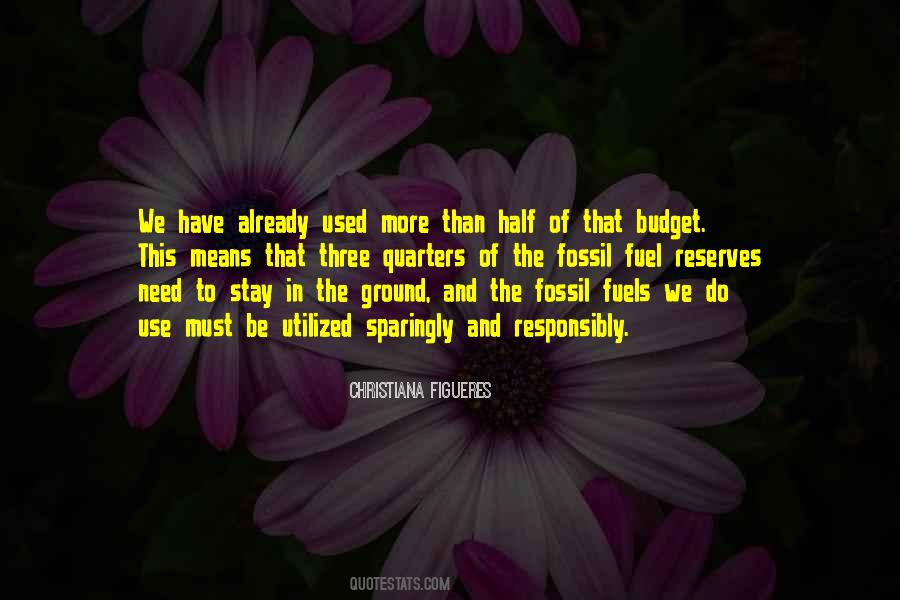 Christiana Figueres Quotes #133986