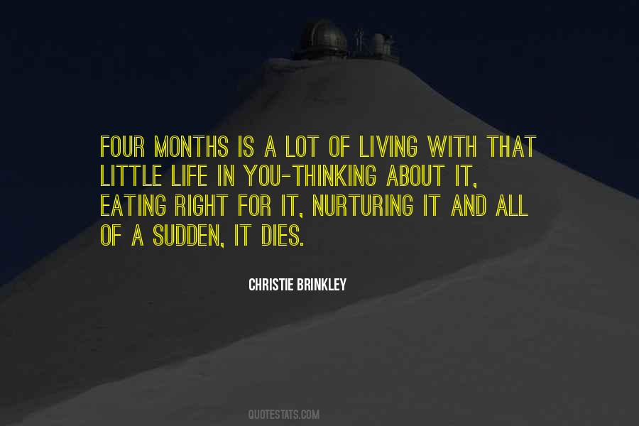 Christie Brinkley Quotes #220723