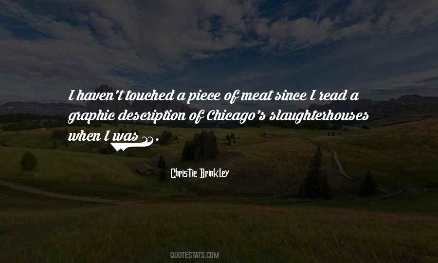 Christie Brinkley Quotes #349966 Christie Brinkley Quotes #349966