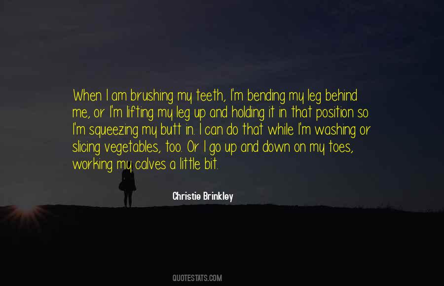 Christie Brinkley Quotes #466213