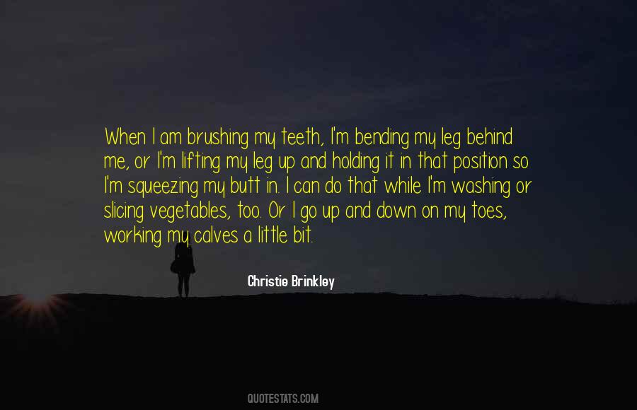 Christie Brinkley Quotes #466213 Christie Brinkley Quotes #466213