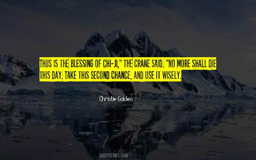Christie Golden Quotes #1523772