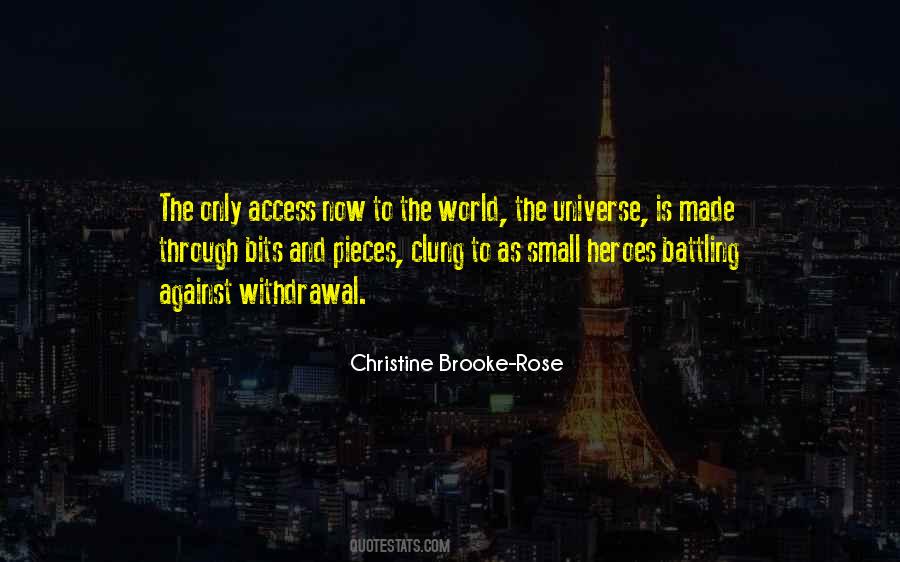 Christine Brooke-Rose Quotes #621923