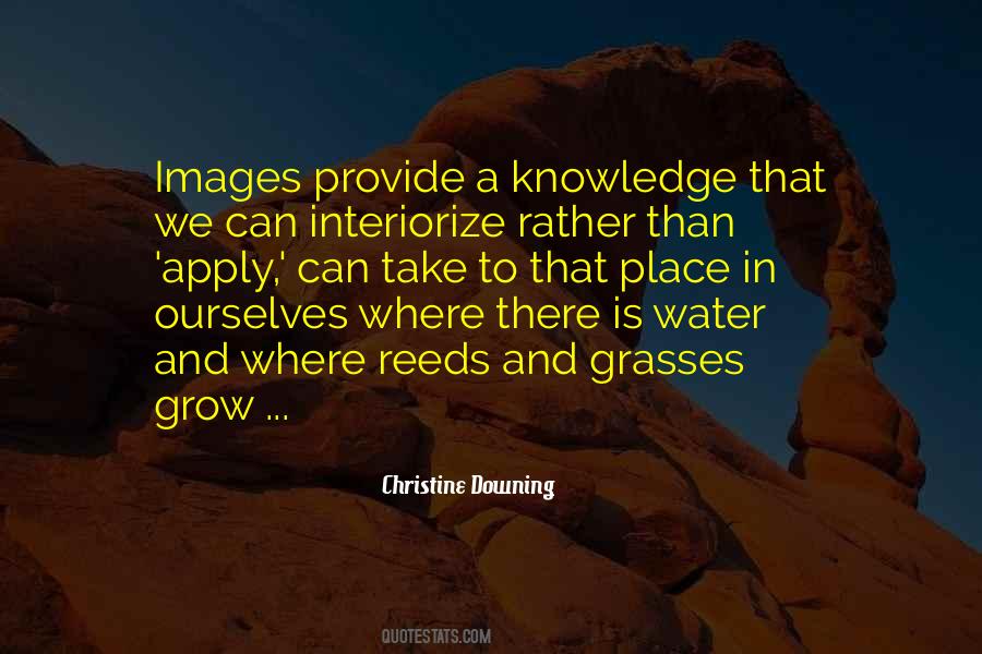 Christine Downing Quotes #1446939