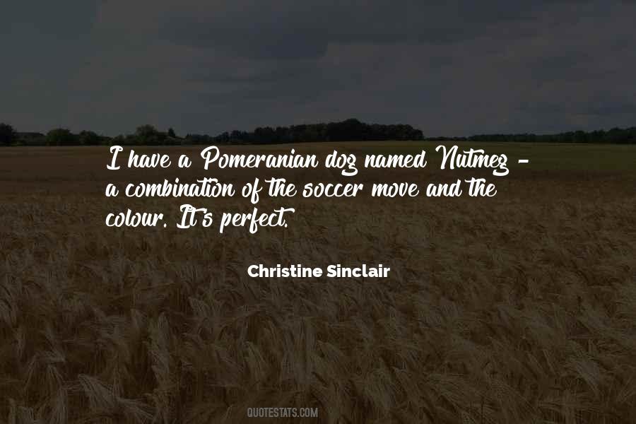 Christine Sinclair Quotes #208962