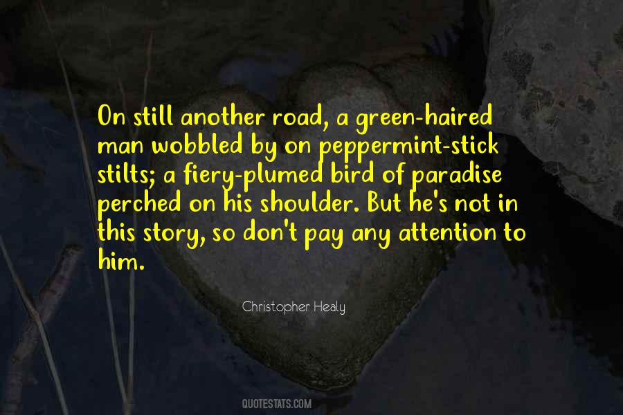 Christopher Healy Quotes #157832