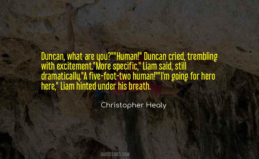 Christopher Healy Quotes #1590610