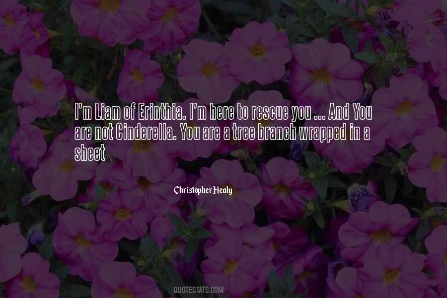 Christopher Healy Quotes #881231