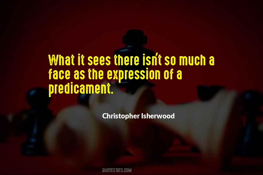 Christopher Isherwood Quotes #1145332