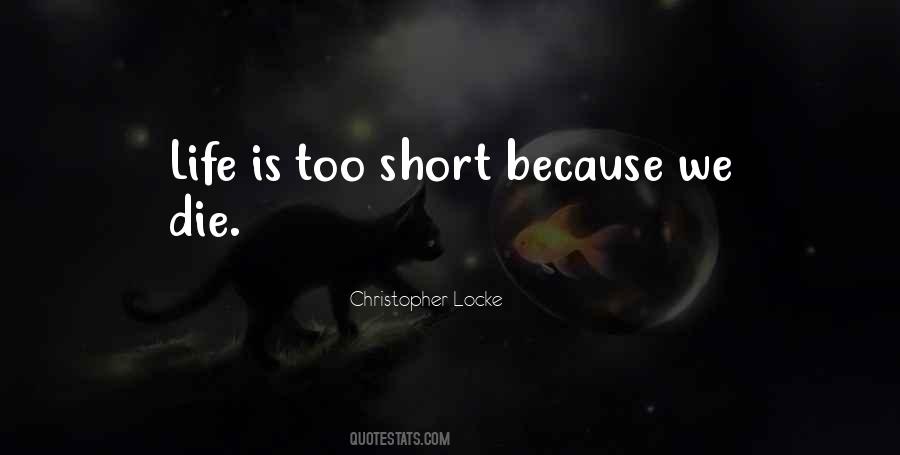 Christopher Locke Quotes #164657