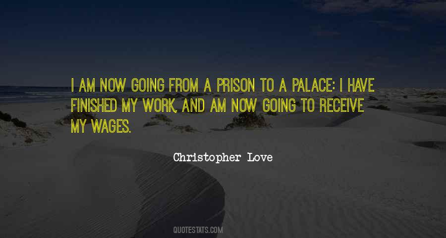 Christopher Love Quotes #115339
