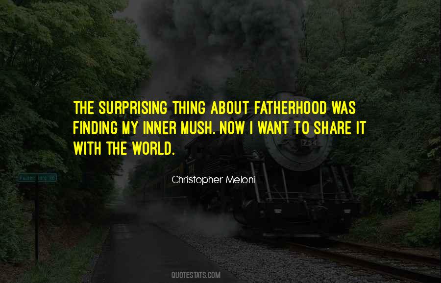 Christopher Meloni Quotes #519622