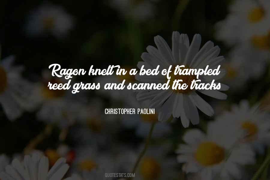 Christopher Paolini Quotes #1783187