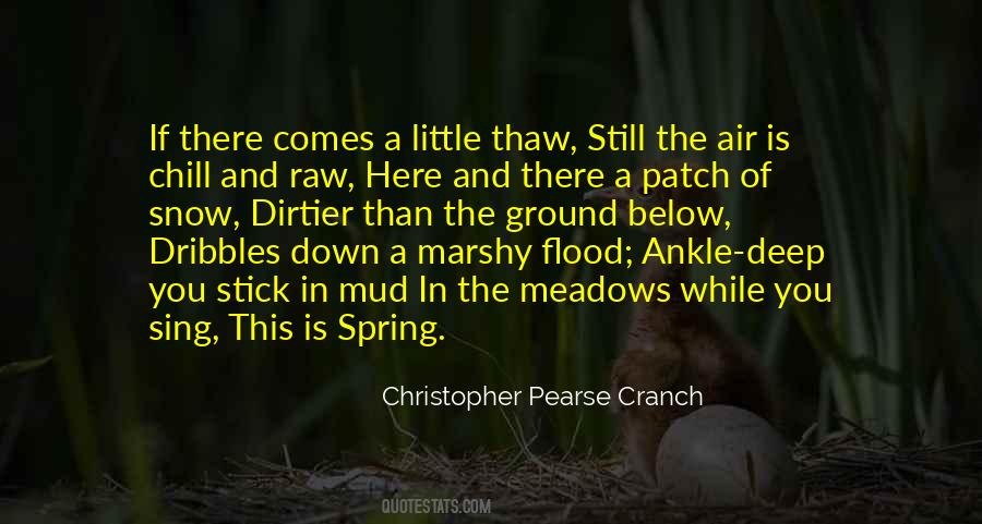 Christopher Pearse Cranch Quotes #676043