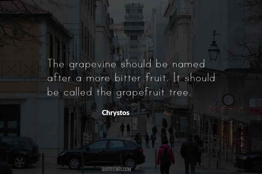 Chrystos Quotes #587362