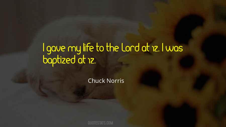 Chuck Norris Quotes #1105281