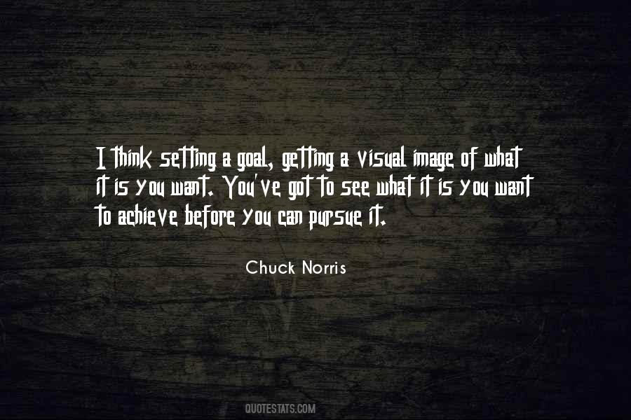 Chuck Norris Quotes #1401466