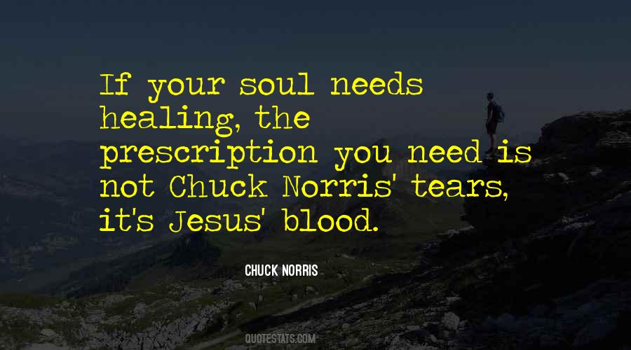 Chuck Norris Quotes #1453783